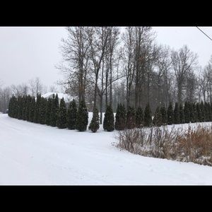 Meet your Posher, May